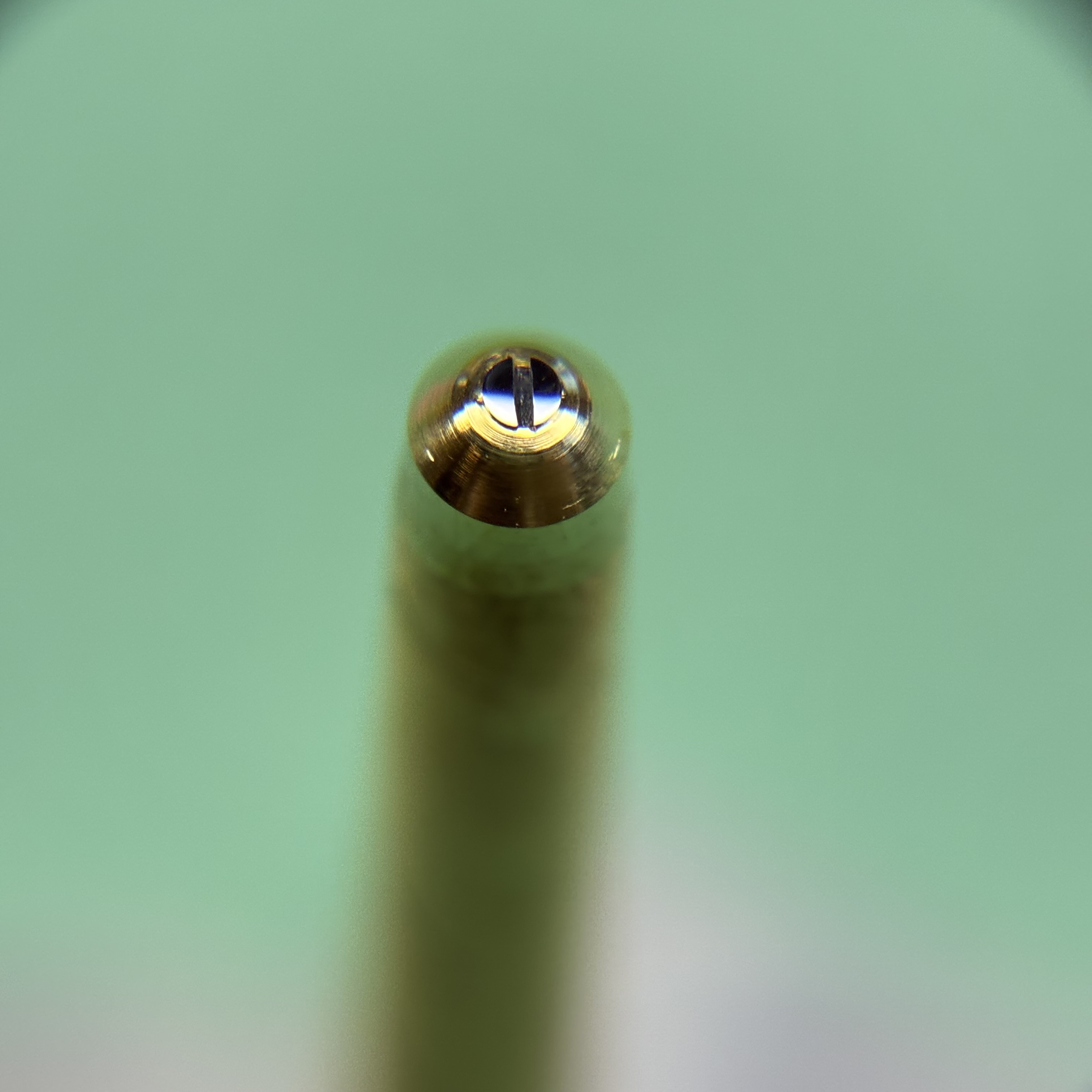 A finished case screw — domed gold head, crisp blued slot.