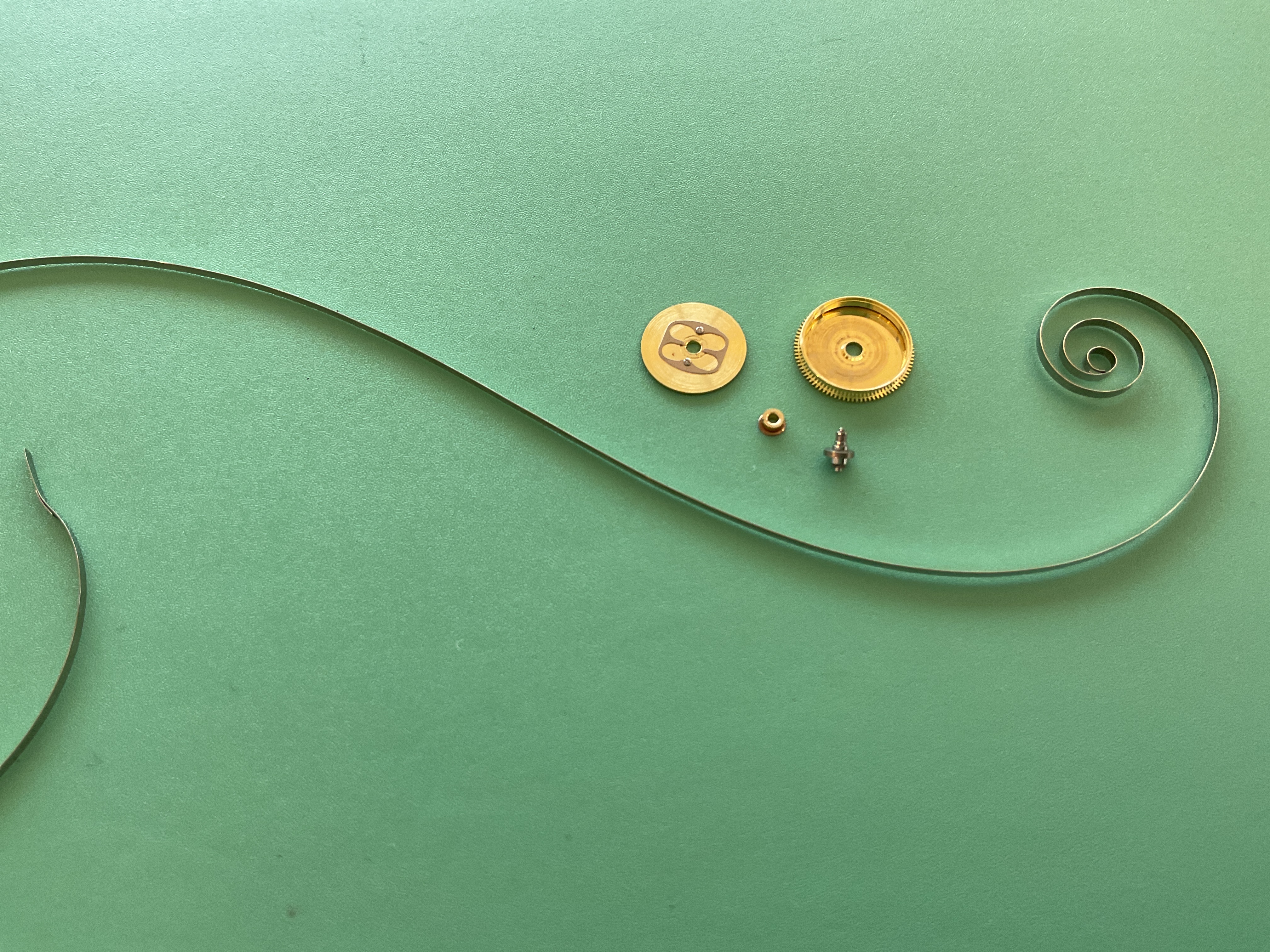 The mainspring, barrel, and arbor — the heart of the watch's power.