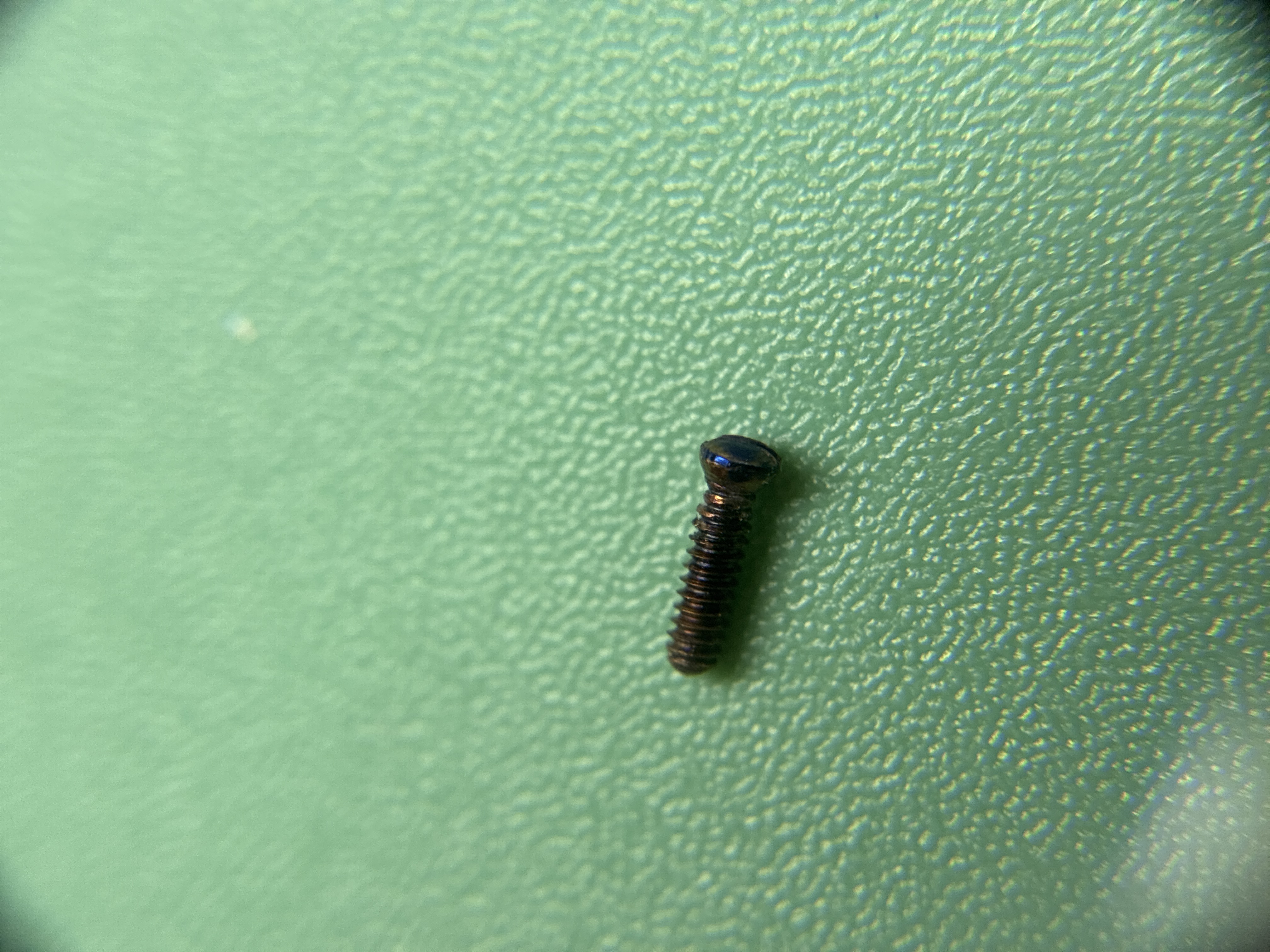 A finished screw, hardened and tempered to a dark blue.